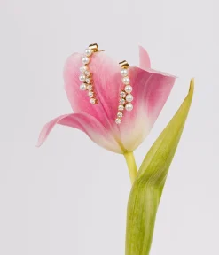 Boucles d'oreilles Nido