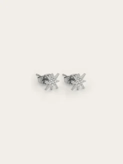 Boucles d'oreilles puces Isaac