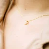 Collier Aquarius
