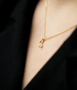 Collier Capricorn