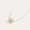 Collier Demo