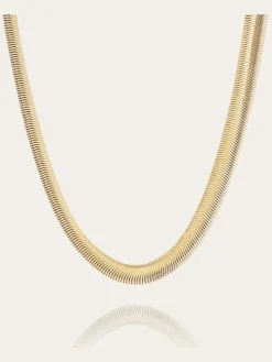 Collier Warren