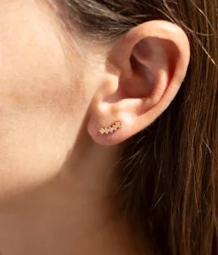 Mini boucles d'oreilles Cassis