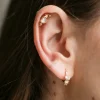 Piercing Anguilla