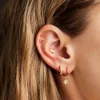 Piercing Barbade