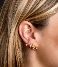 Piercing Kangaroo